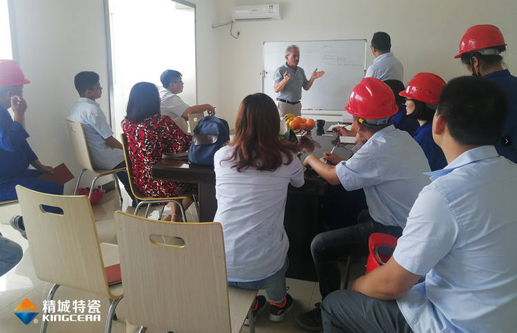 湖南尊龙人生就是博首页特邀意大利专家举行质量治理培训