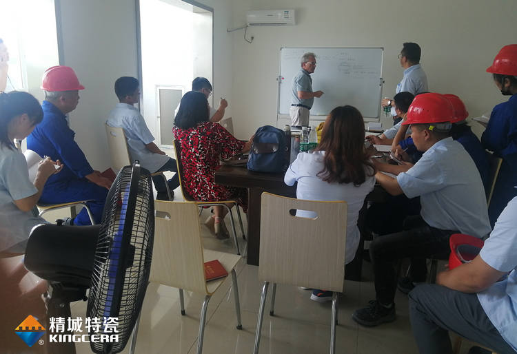 湖南尊龙人生就是博首页特邀意大利专家举行质量治理培训