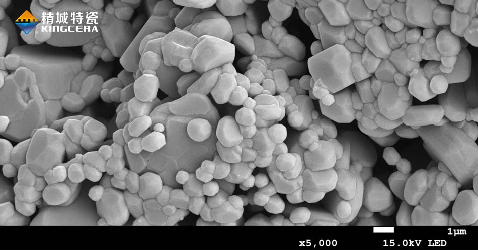 首页|尊龙人生就是博官网入口