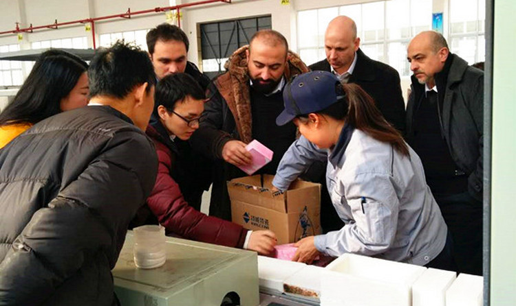 首页|尊龙人生就是博官网入口